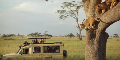 4 day tanzania classic safari - tarangire, serengeti & ngorongoro crater - Photo 3