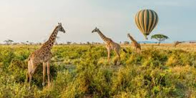 4 days join-in group safari from zanzibar - Photo 3