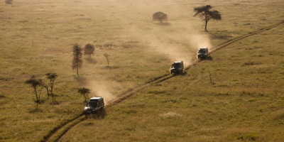 6 day camping and lodging the big five unique safari in northern tanzania - Photo 3