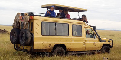 4 days safari tarangire national park, ngorongoro crater, serengeti national park - Photo 5