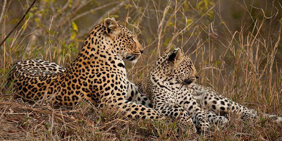 2 days northern tanzania budget safari - Photo 2