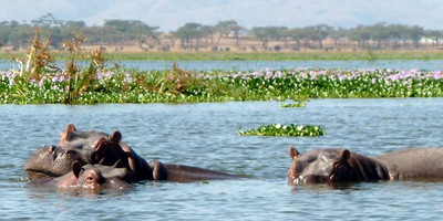 7 days shared camping safari - Photo 7