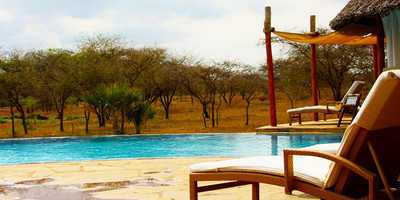 5 days tanzania luxury safari - Photo 1