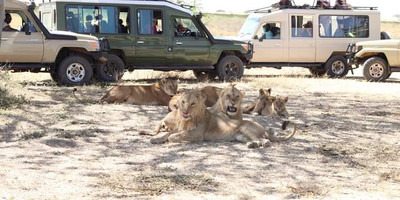 Kenya’s top safari adventure: 8 days of game drives & breathtaking views - Photo 9