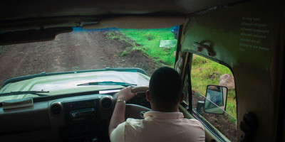 2 days tanzania lodge ( luxury) safari - Photo 3