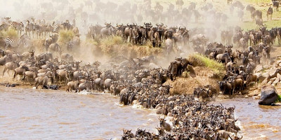 7 Day Low Season Tanzanian Green Safari - Photo 3
