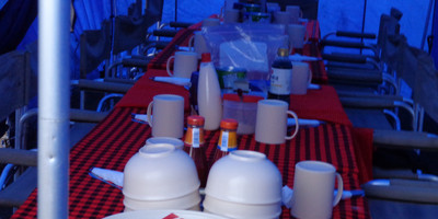 8 days kilimanjaro climb lemosho route - Photo 4