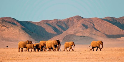 4 Days Damaraland & Skeleton Coast-Namibia(Lodging) - Photo 2