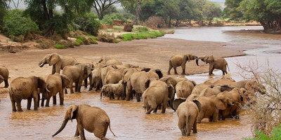 4 days samburu & ol pejeta safari itinerary – a 4x4 adventure - Photo 6
