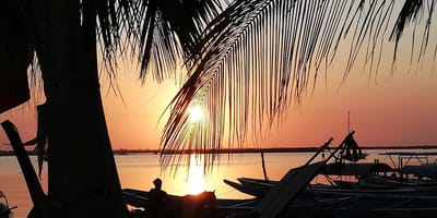 Niambodecouverte, casamance - Photo 5