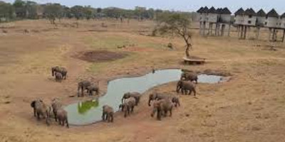 5 days kenya camping safari package - Photo 5