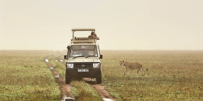 12 day tanzania southern parks safari - Photo 4