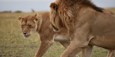 Classic uganda tour - Photo 1