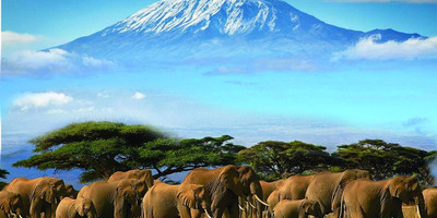 9 DAYS 8 NIGHTS KENYA SAFARIS - Photo 3