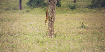 10 day tanzania private group safari - Photo 6