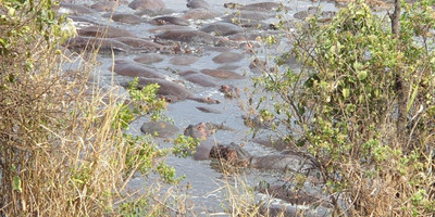  days tanzania camping (budget)safari tarangire ngorongoro - Photo 9