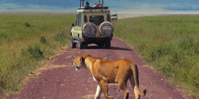 3 days tanzania private safari arusha national park -tarangire -ngorongoro - Photo 3