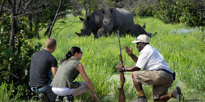 14 days best of uganda safari - Photo 8