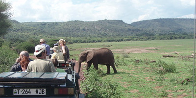 5 days tanzania sharing luxury safari - Photo 2