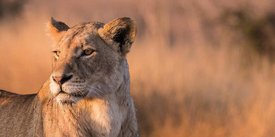 5 day tanzania camping safari - Photo 4