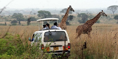 Nairobi national park daily departures - Photo 2
