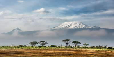 8- days mount kilimanjaro lemosho route - Photo 1