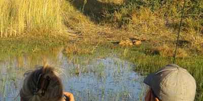 5 day big five safari in okavango delta, botswana - Photo 1