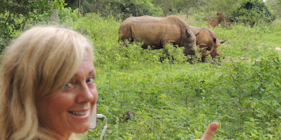 The ultimate, africa adventure: savannah wildlife, chimpanzee tracking, and gorilla safari - Photo 3