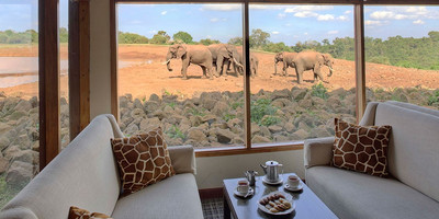 5 days aberdares / lake naivasha / masai mara luxury safari - Photo 6