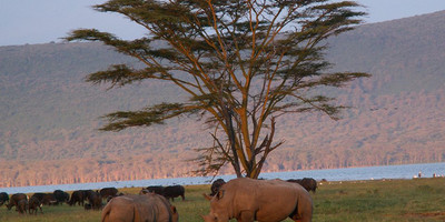 Kenya budget camping safari adventure - Photo 8