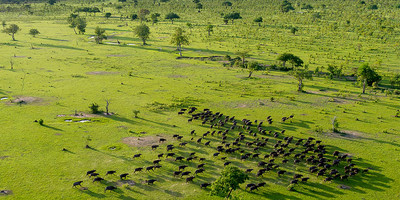 4 Day Safari to Selous Game Reserve - Photo 1