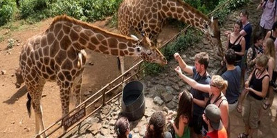 16 days african mountain biking cycling safari - Photo 2
