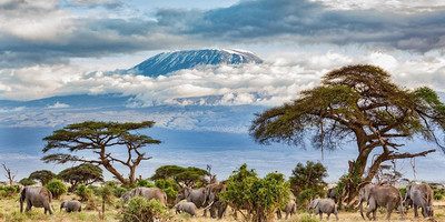 Mount kilimanjaro (highest in africa) machame route - Photo 4