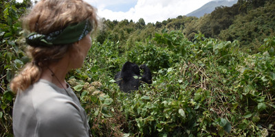 Gorilla and wildlife experience - Photo 4