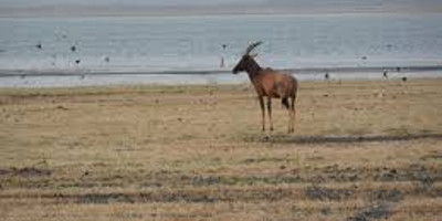 9 days kenya luxury family holiday - Photo 1