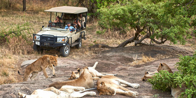 12 day tanzania cultural tourism and game drives safari - Photo 10