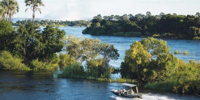 Zambezi river fishing excursion - Photo 3