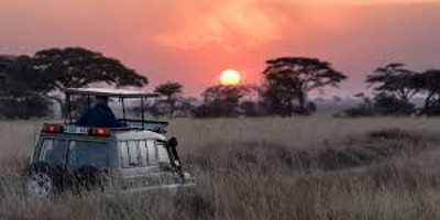 4 days join-in group safari from zanzibar - Photo 5