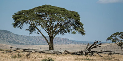 Mount kilimanjaro 7days machame route - Photo 3