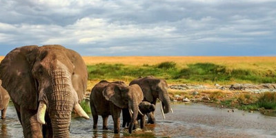 7 days kenya budget camping safari adventure - Photo 5