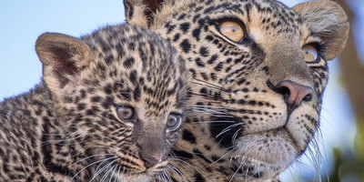 3 day tanzania wildlife safari - Photo 4