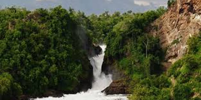 8-day best of uganda tour - Photo 2