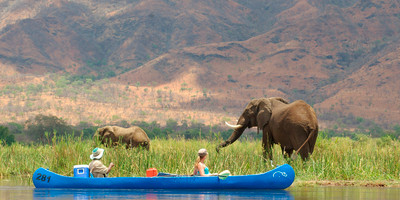 5nights/ 6days - great zambezi canoe safari - Photo 5