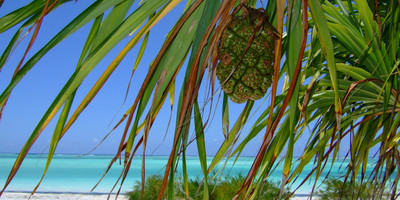 8- days zanzibar package - Photo 1