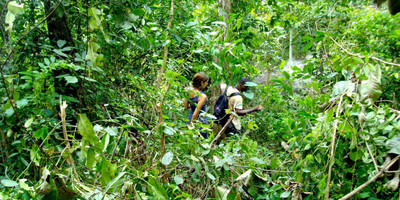 Ecotours kpalime - Photo 5