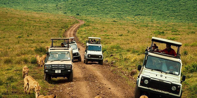 Tarangire day trip - Photo 4