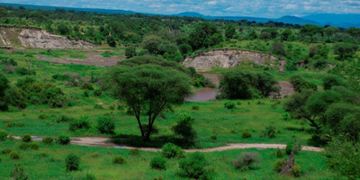 2 days tanzania lodge ( luxury) safari - Photo 15