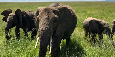 3 days best safari - Photo 2