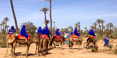 Dromadaires marrakech - Photo 7