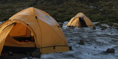 7 days lemosho route kilimanjaro climb - Photo 4